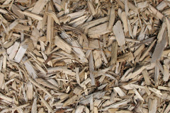 biomass boilers Oakwood